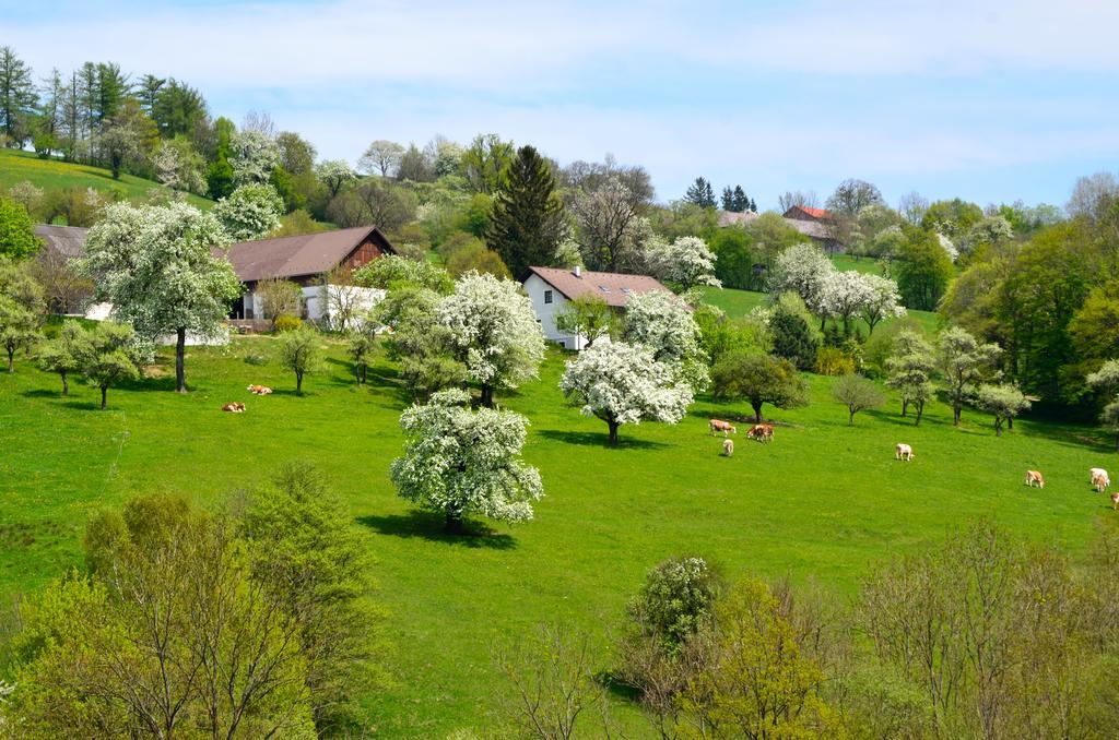 Ferienwohnung Vonwald Michelbach 외부 사진